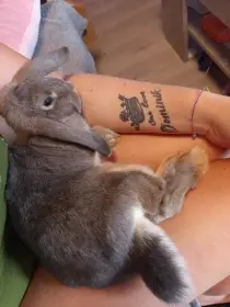 Winnie