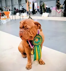 Matka