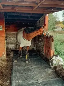Odolné PVC rohože 120  80 cm – koně, výběhy, stavby