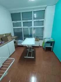 Sháním šikovnou psí kadeřnici