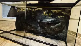 Terarium 80x40x40 s pozadím