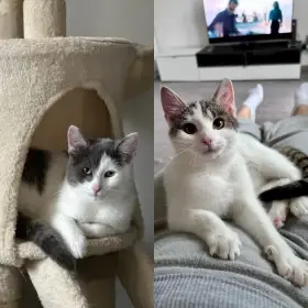 Mailo & Mia