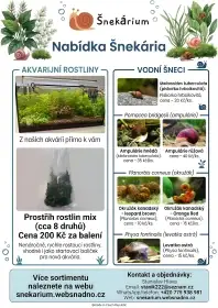 Akvarijní rostliny / ampulárie / okružáci / pískořky / levatky