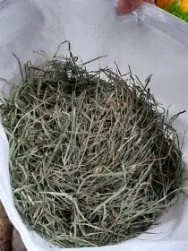 Pytlované seno