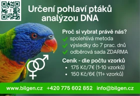 Určení pohlaví ptáků pomocí analýzy DNA