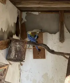Prodám