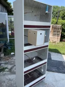 Hnizdni boxy