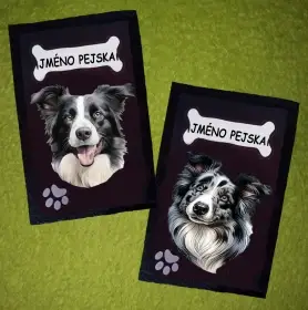 ukázka border kolie