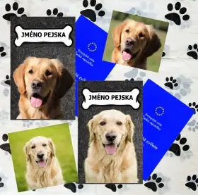 ukázka vlastní foto