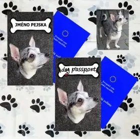 ukázka vlastní foto