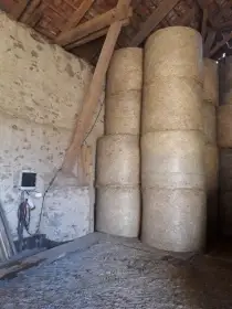 Seno v kulatých balících