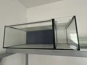 Akvária