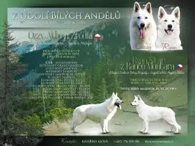 CHS z Údolí Bílých andělů nabízí k prodeji BŠO