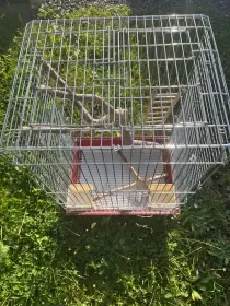 Klec na papouška
