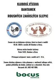 Klubová výstava Bantamek a Rousné zakrslé slepice - 19.10. 2025