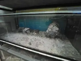 Umělé dno a kameny