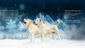 Prijímame rezervácie na šteniatka