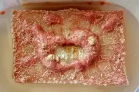 Izraelské nitěnky - IZYA worms, násada na domácí chov