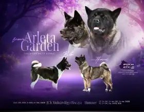 Rezervace štěňátek k prodeji