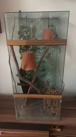 Terárium chameleon - had