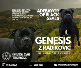 Poslední volná fenečka Andulka