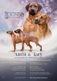 Rhodéský ridgeback s PP