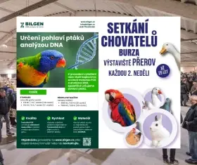 Laboratoř BILGEN - DNA testy pohlaví - sběr vzorků na burze v Přerově