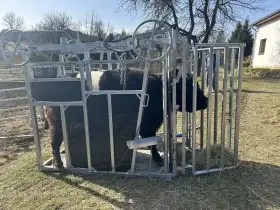 Strouhání, ošetření paznehtů skotu