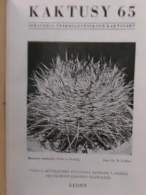 Kaktusy 1965 - 1974 - kompletní ročníky.