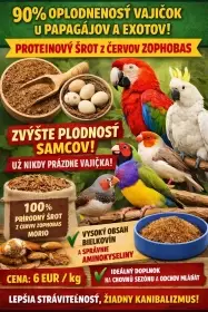 90% oplodněnost vajec u papoušků a exotického ptactva