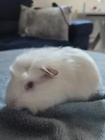 Kluk 1 měsíc