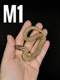 Heterodon Nosatý - mláďata 2026