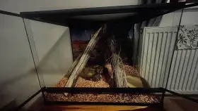 Terarium 60x45x45