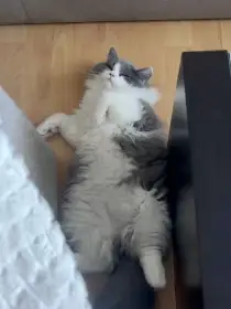 Aktuální foto