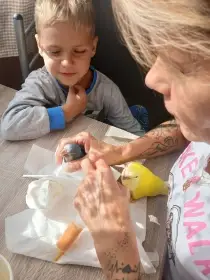 Prodám ručně dokrmené Mníšky