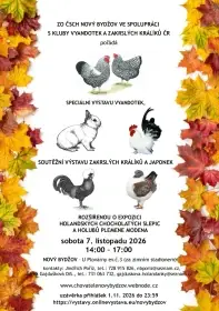 Speciální výstava zakrslých králíků, holubů, drůbeže ČSCH Nový Bydžov 7.11. 2026