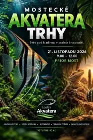 Mostecké akvatera trhy