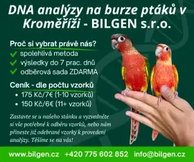 Určení pohlaví na burze v Kroměříži - BILGEN s.r.o.