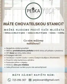 Peska pet-jóga