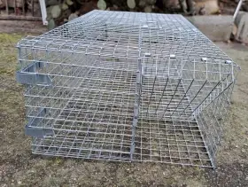 Past na malé potkany - předek