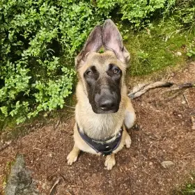 Ellie (7měsíců)