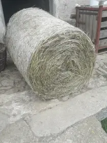 Seno v menších kulatých balících