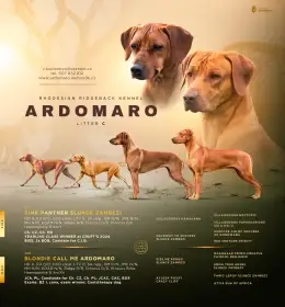 Štěňátka Rhodeského ridgebacka