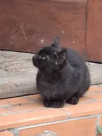 "Mao" - 2. den  na sluníčku