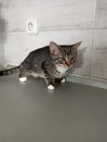 Roztomilá Ela hledá ten nejelpši domov