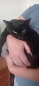 Sašenka žije cely svůj život pouze v útulku