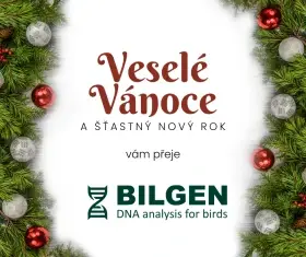 Krásné Vánoce všem chovatelům přeje firma BILGEN