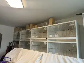 Skříňové klece - vcelku