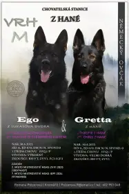 Německý ovčák s PP