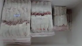 Mražené krmivo - myši - stálá nabídka